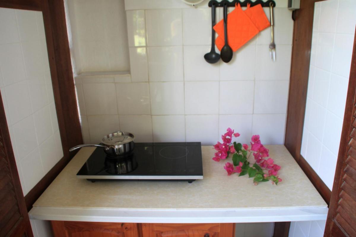 Orchidee Le Gosier (Grande-Terre)
